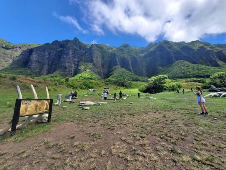 From Waikiki: Oahu Circle Island Tour - Learning and Photos