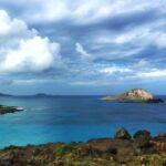 From Waikiki: Oahu Scenic Half-Day Circle Island Tour - The Experience in Practice: What Travelers Say