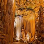 From Washington DC: Day Trip to Luray Caverns - Why This Tour Works Well