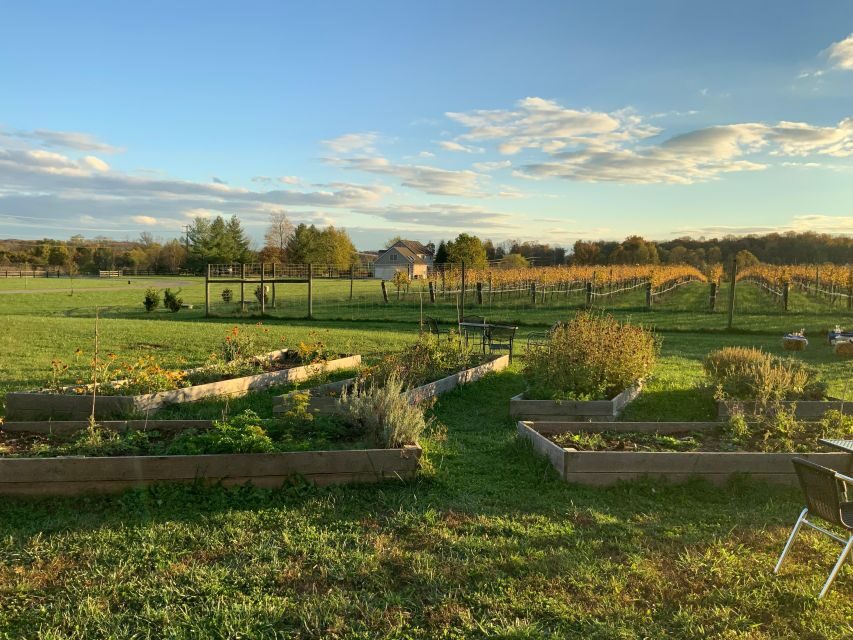 From Washington, DC: Virginia Wine Country Private Day-Trip - FAQs