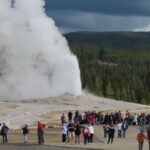 From West Yellowstone: Lower Loop Active Van Tour - Who Would Love This Tour?