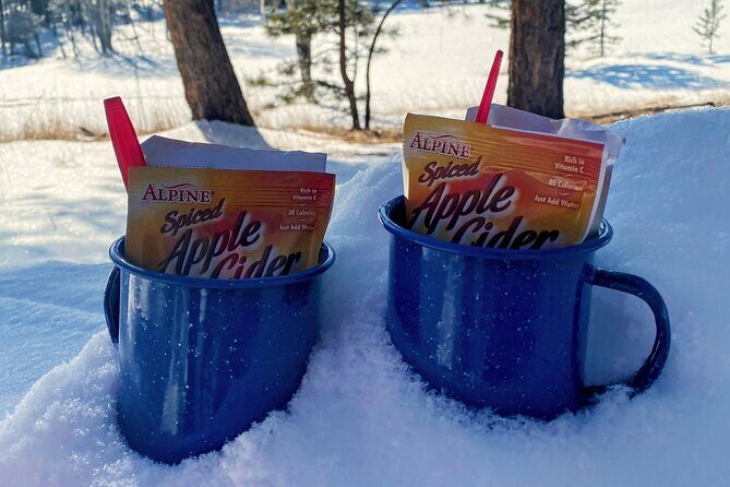 Frozen Waterfall Snowshoe Tour Estes Park - The Experience Itself: A Step-by-Step Breakdown