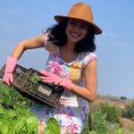 Fruit Garden and Mezcal Tasting Tour with Lunch Included - Experience Value and Practicalities