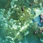 Full-Day Appleton Rum, YS Falls and Pelican Bar Private Tour - Whats Included and What to Keep in Mind