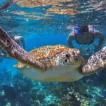 Full Day Boat Tour with Open Bar and Lunch in Riviera Maya - The Itinerary in Detail