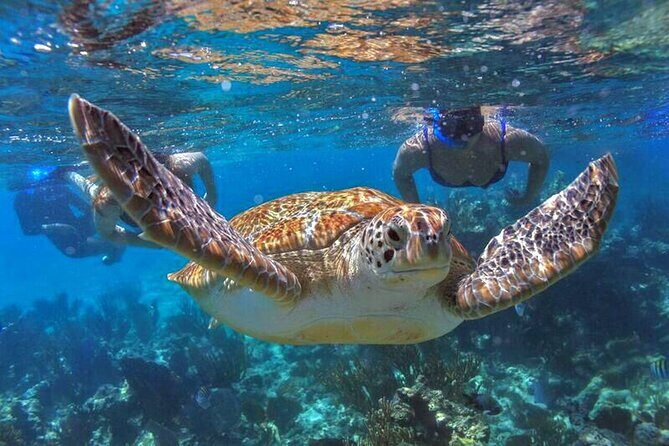 Full Day Boat Tour with Open Bar and Lunch in Riviera Maya - The Itinerary in Detail