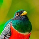 Full Day Bromeliad Forest Tour from Oaxaca - An Honest Look at the Bromeliad Forest Tour