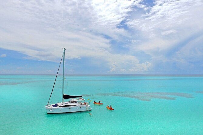 Full-Day Catamaran Cozumel Tour with Sky Snorkeling - Snorkeling at the Reefs