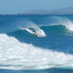 Full Day Customized North Shore Private Tour - FAQ