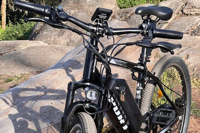 Full Day E-Bike Rental in San Francisco Charger Included! - The Ride: What to Expect