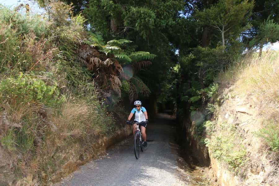 Full Day Ebike Tour - Karangahake Gorge NZ - Who Is This Tour Best Suited For?
