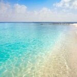 Full-Day El Cielo Snorkel Tour in Cozumel with Transportation and Lunch - The Practical Details and Overall Value