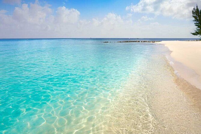 Full-Day El Cielo Snorkel Tour in Cozumel with Transportation and Lunch - The Practical Details and Overall Value