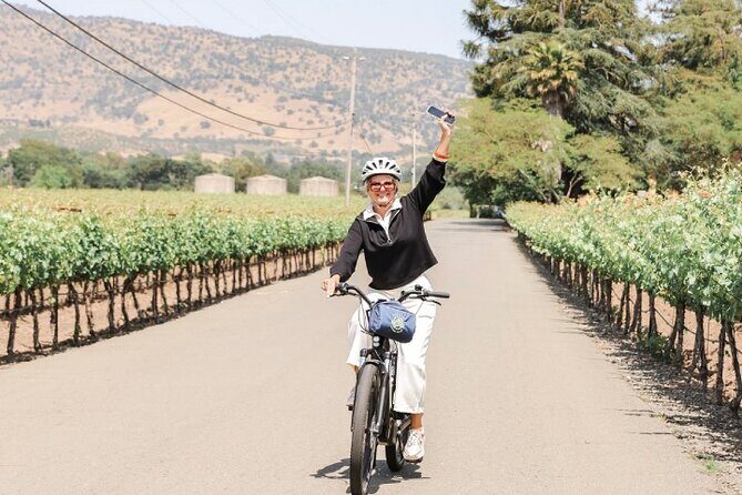 Full-Day Electric Bike Rental - The Ride: From Yountville to Oakville and Beyond