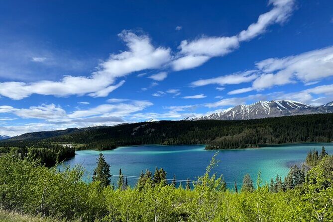 Full Day Emerald Lake Tour with or without Huskies - What Do Travelers Say?