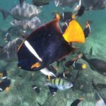 Full-Day Experience in Banderas Bay - Authentic Traveler Feedback