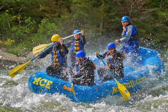 Full Day Fall Lower Gauley Rafting in West Virginia - Is It Worth the Price?