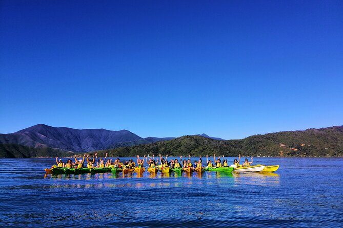 Full day Guided Sea Kayak Tour from Picton - What the Reviews Say