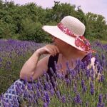 Full-Day Highlights of Prince Edward County Private Tour - Art and Craft: The Glassworks and Galleries