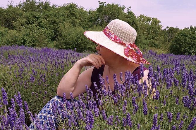 Full-Day Highlights of Prince Edward County Private Tour - Art and Craft: The Glassworks and Galleries