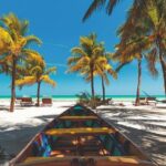 Full-Day Holbox Island Boat and Buggy Tour with Lunch - Practical Aspects That Matter