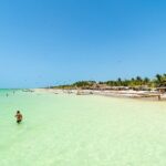 Full Day Holbox Island Tour from Playa del Carmen with Lunch - Who Is This Tour Best For?