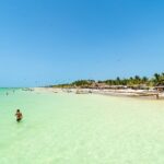 Full Day Holbox Island Tour from Playa del Carmen with Lunch - Who Should Consider This Tour?