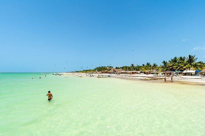 Full Day Holbox Island Tour from Playa del Carmen with Lunch - Who Should Consider This Tour?