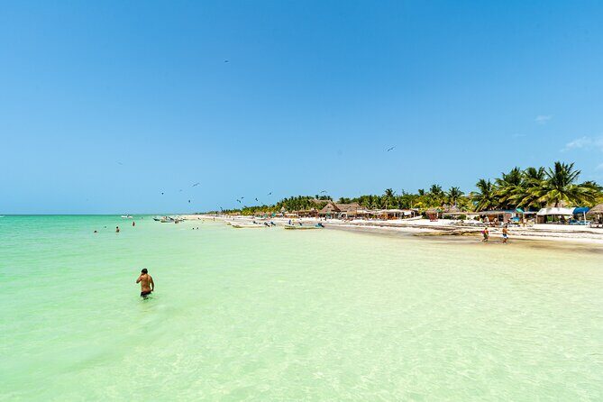 Full Day Holbox Island Tour from Playa del Carmen with Lunch - Who Is This Tour Best For?