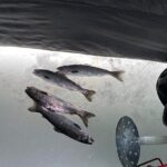 Full Day Ice Fishing Experience in Palmer Alaska - The Experience of the Guides and the Landscape
