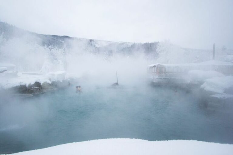 Full Day Ice Museum and Chena Hot Springs Tour - The Value of the Experience