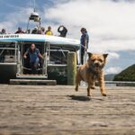 Full Day Iconic Mail Boat Cruise - The Realism of the Reviews