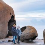 Full-Day Kangaroo Island Experience Departing from Kangaroo Island - The Practical Side: Transport, Timing, and Group Size