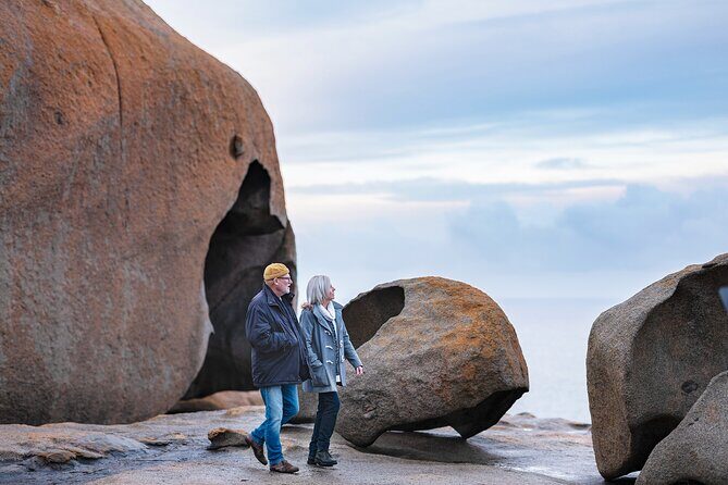 Full-Day Kangaroo Island Experience Departing from Kangaroo Island - The Practical Side: Transport, Timing, and Group Size