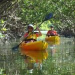 Full Day Kayak or SUP Rental (8hr) - Pelican Bay - The Experience from the Review Perspective