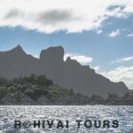 Full-day Lagoon Safari Tour with Lunch in Bora Bora - Shared tour - What Makes This Tour Good Value?