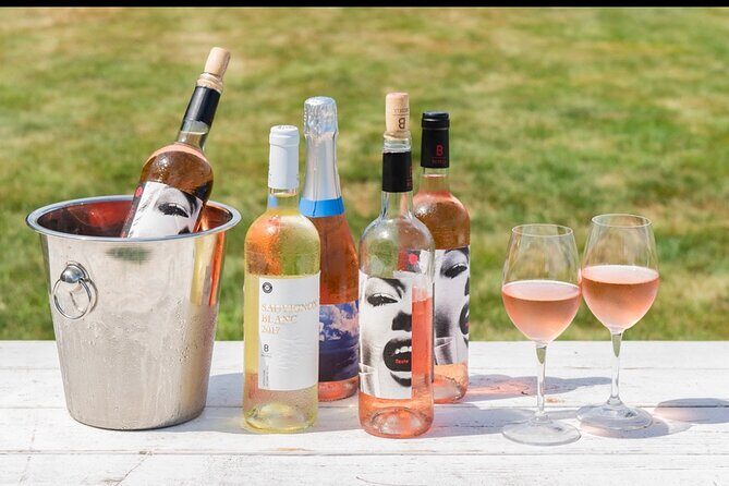 Full-Day Luxury Long Island Private Winery Tour - The Value and Experience in Context