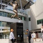 Full-day Melbourne City Sightseeing with Penguin Parade - What We Think About the Value