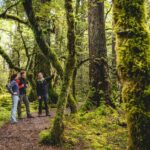 Full-Day Milford Sound Tour with Cruise and Walks from Te Anau - What’s Included and What to Expect