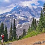 Full-Day Mt Rainier National Park Private Tour in SUV - Who Is This Tour Best For?