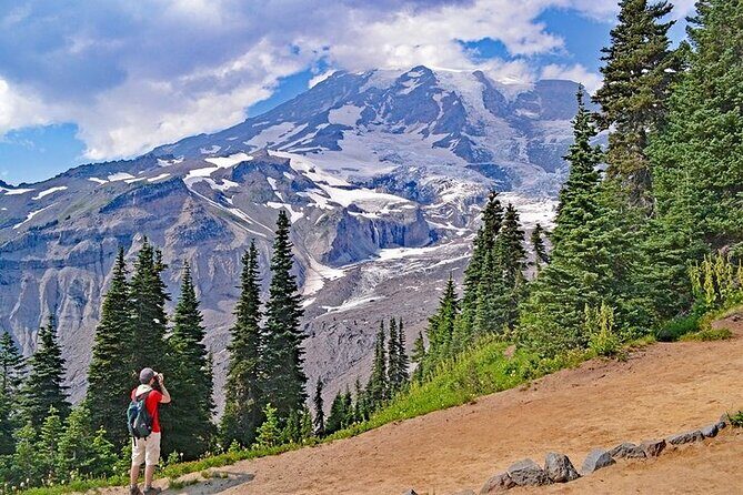 Full-Day Mt Rainier National Park Private Tour in SUV - Who Is This Tour Best For?