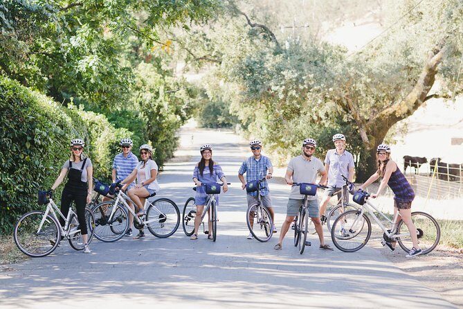 Full-Day Napa Valley E-Bike Tour with Picnic Lunch - The Picnic Lunch and Additional Details