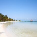 Full Day Nature Expedition to Contoy Island and Isla Mujeres - Transition to Isla Mujeres