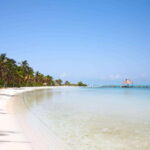 Full Day Nature Expedition to Contoy Island and Isla Mujeres - The Itinerary in Detail