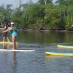 Full-Day Paddle Board Rental in Naples, Florida - Final Thoughts: Who It’s Perfect For