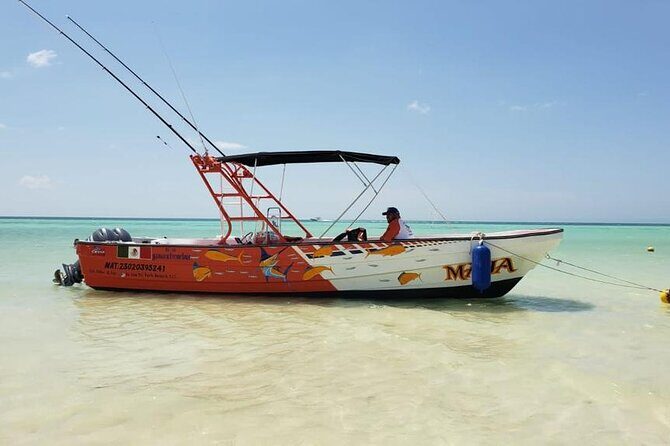 Full Day Private Deep Sea Fishing in Holbox - The Price: Value or Splurge?