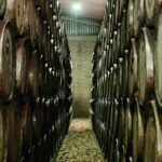 Full Day Private Guided Tour of Arandas Jalisco Distilleries - What We Heard from Reviews