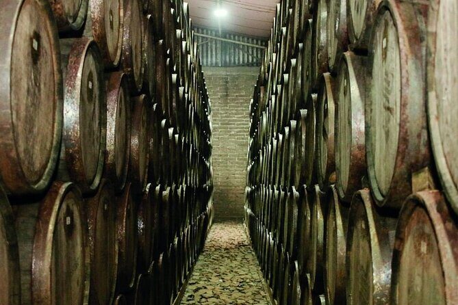 Full Day Private Guided Tour of Arandas Jalisco Distilleries - What We Heard from Reviews