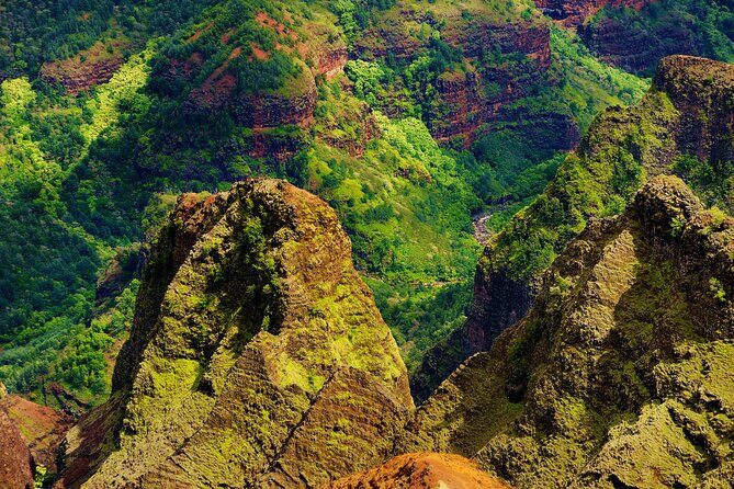 Full-Day Private Kauai's Waimea Canyon and South Side Tour - What Travelers Say