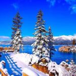 Full Day Private Lake Tahoe Tour from Oakland - What Travelers Say